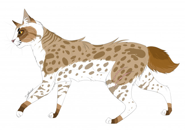 Обои картинки фото рисованные, животные, белый, фон, животное