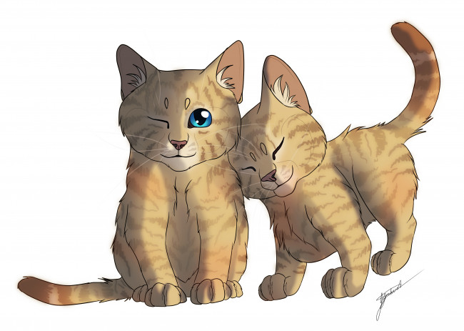 Обои картинки фото рисованные, животные,  коты, нежность, двое, котята, белый, фон