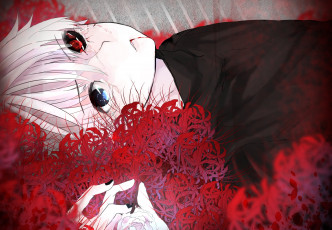 Картинка аниме tokyo+ghoul канеки