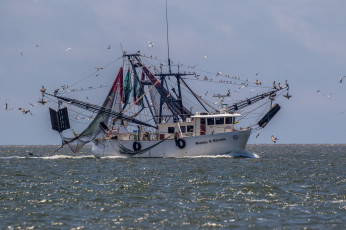 Картинка корабли другое рыболов