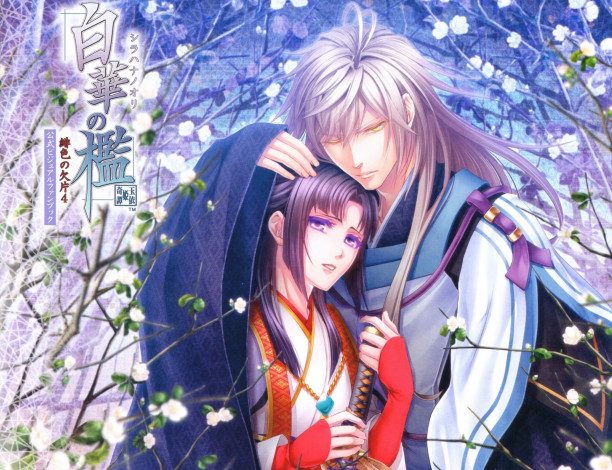 Обои картинки фото аниме, hiiro no kakera, пара