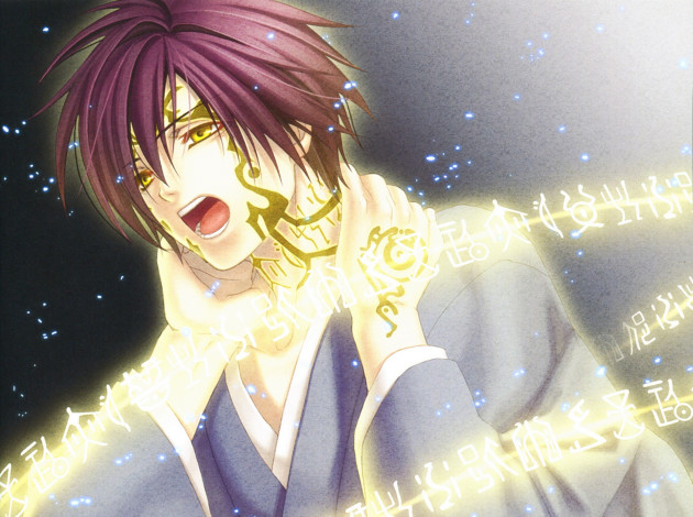 Обои картинки фото аниме, hiiro no kakera, парень