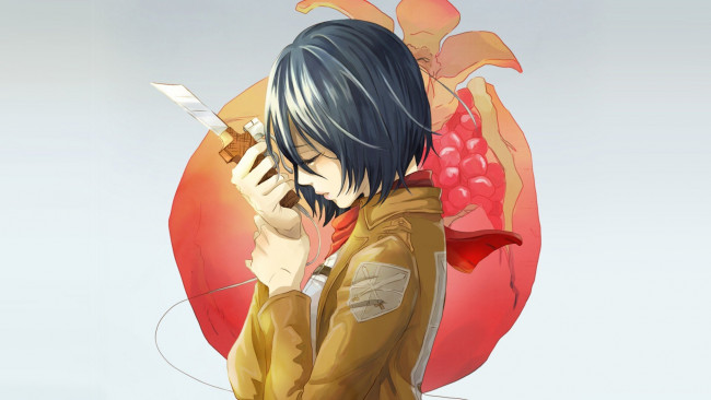 Обои картинки фото аниме, shingeki no kyojin, микаса