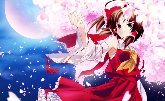 Обои картинки фото аниме, touhou, девушка, фон, взгляд