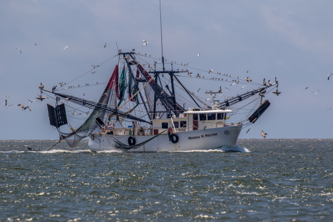 Обои картинки фото корабли, другое, рыболов