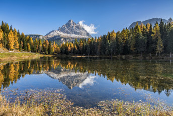 Картинка природа реки озера река лес горы