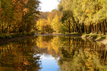 Картинка природа реки озера лес река