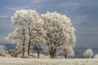 Картинка природа зима снег