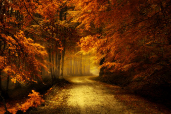 Картинка природа дороги тракт