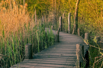 Картинка природа дороги тракт