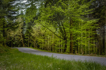 Картинка природа дороги тракт