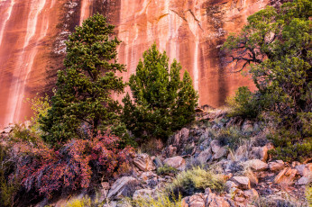 Картинка природа горы простор