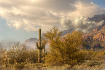 Картинка природа горы простор