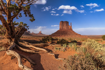 Картинка природа пустыни простор