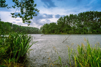 Картинка природа реки озера лес река