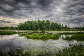 Картинка природа реки озера река лес