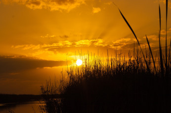 Картинка природа восходы закаты рассвет