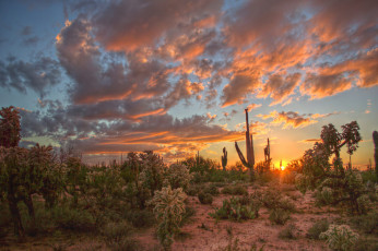 Картинка природа восходы закаты рассвет