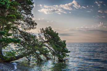 Картинка природа побережье берег море