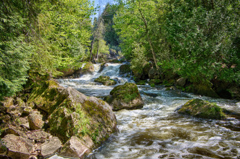 Картинка природа реки озера река лес