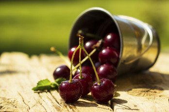 Картинка еда вишня +черешня вкусная сочная ягода черешня