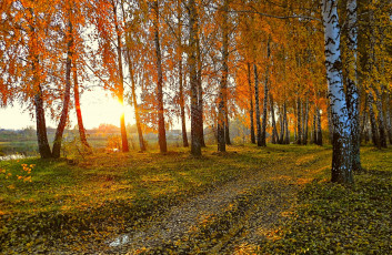 Картинка природа дороги тракт