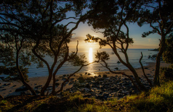 Картинка природа побережье берег море