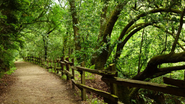 Картинка природа дороги тракт