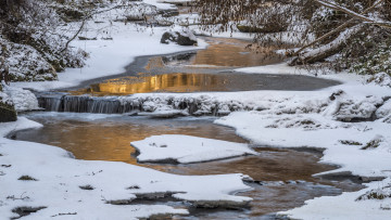 Картинка природа реки озера река лес