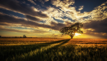 Картинка природа восходы закаты рассвет