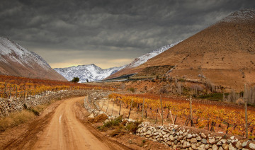 Картинка природа дороги тракт