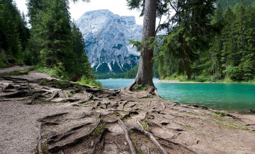 Картинка природа реки озера река лес