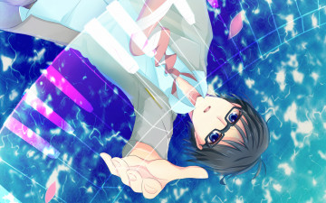 Картинка аниме shigatsu+wa+kimi+no+uso твоя апрельская ложь