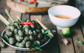 Картинка еда рыба +морепродукты +суши +роллы улитки чили деликатес перец