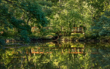 Картинка природа реки озера река лес