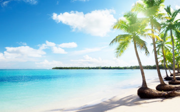 Картинка природа тропики море облака пальмы