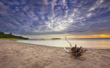 Картинка природа восходы закаты песок море облака побережье коряга