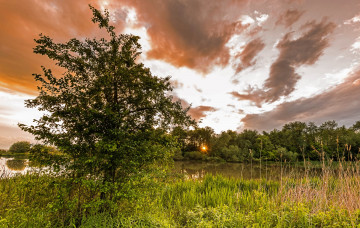 Картинка природа реки озера река лес