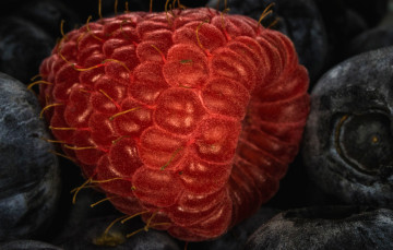 Картинка еда малина ягода