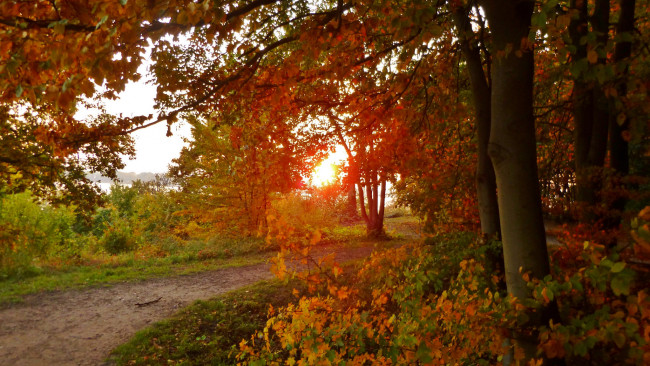 Обои картинки фото природа, дороги, тракт