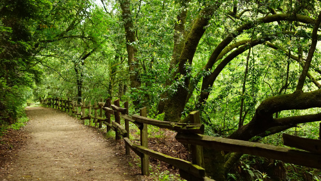 Обои картинки фото природа, дороги, тракт