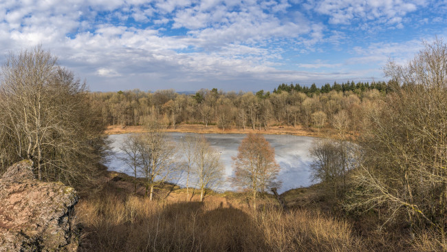 Обои картинки фото природа, реки, озера, река, лес