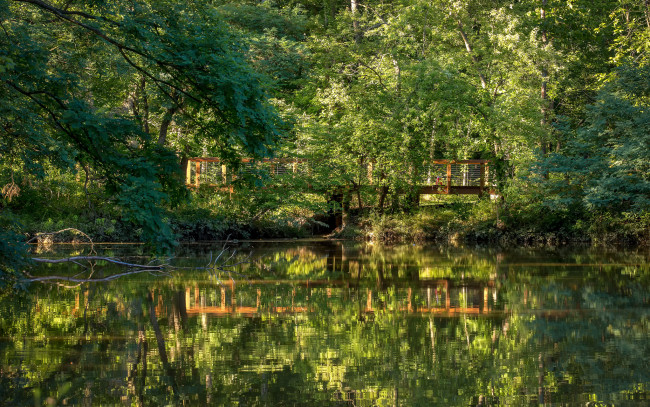 Обои картинки фото природа, реки, озера, река, лес