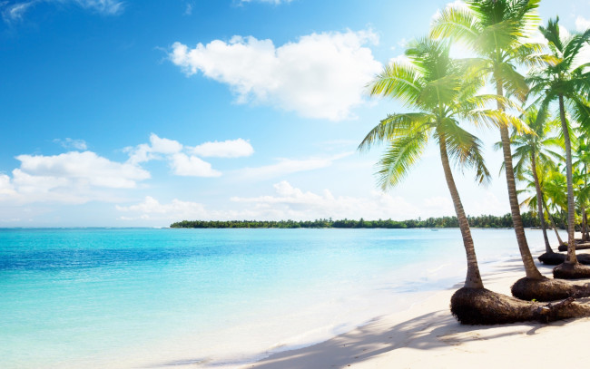Обои картинки фото природа, тропики, море, облака, пальмы