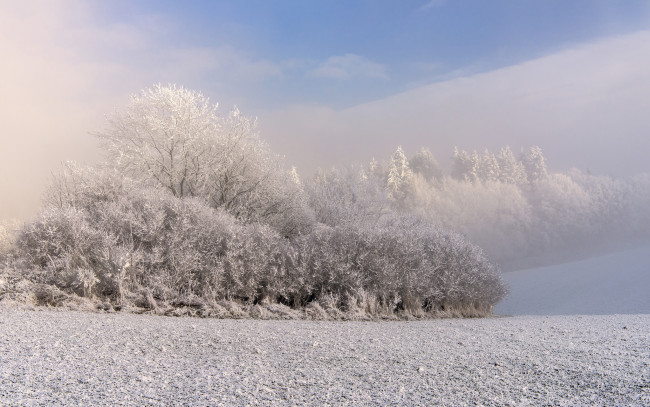 Обои картинки фото природа, зима, снег