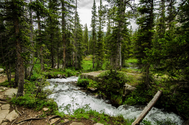 Обои картинки фото природа, реки, озера, река, лес