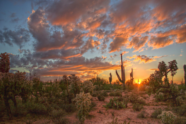 Обои картинки фото природа, восходы, закаты, рассвет