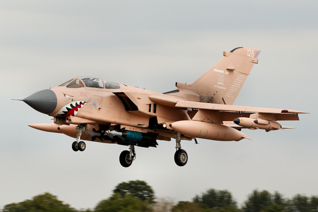 Обои картинки фото авиация, боевые самолёты, истребитель