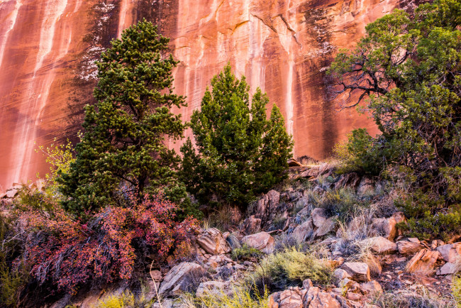 Обои картинки фото природа, горы, простор