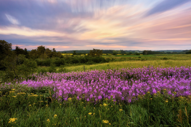 Обои картинки фото природа, луга, рассвет